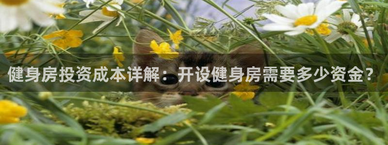 意昂2娱乐