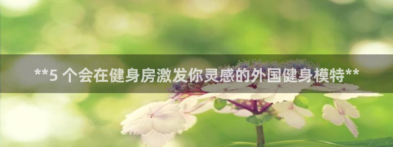 意昂2招商
