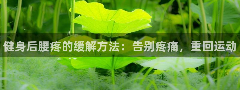 意昂2平台