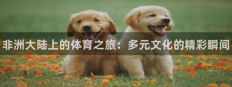 米兰体育中心