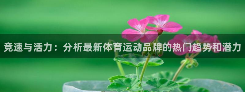 米兰体育入口
