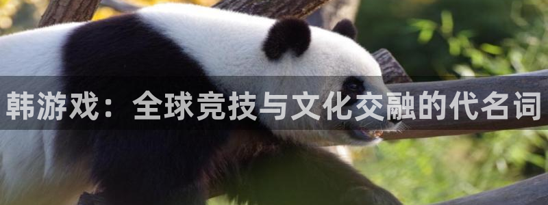 米兰体育网页版登录