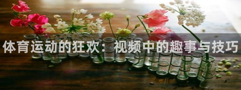 米兰体育场