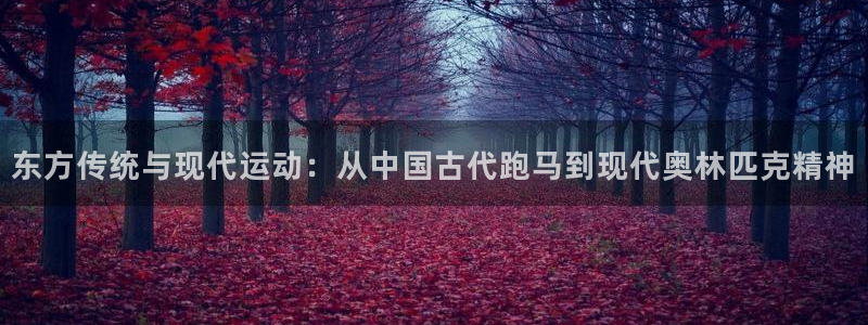 米兰体育场