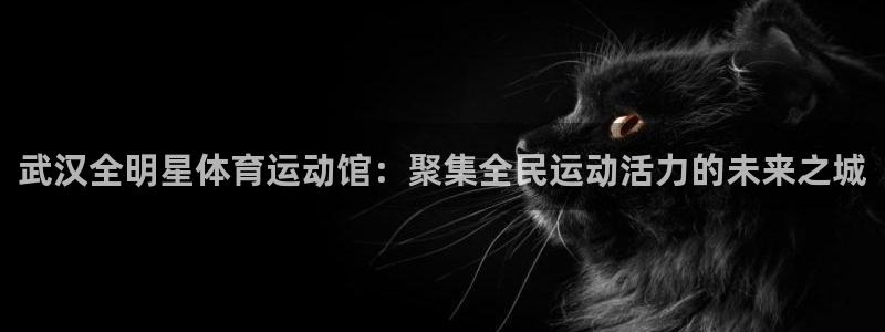 米兰体育中心