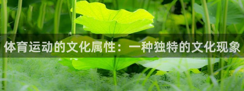 米兰体育最新版下载
