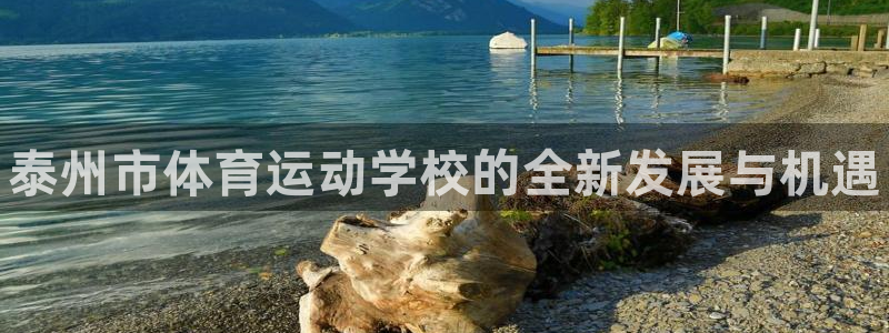 米兰体育网址