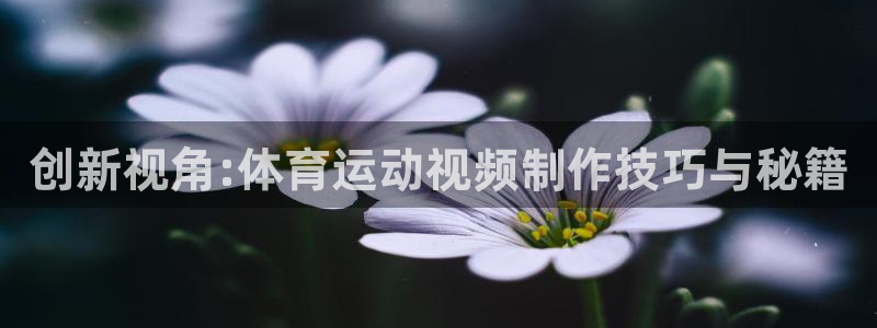 米兰体育官方下载入口