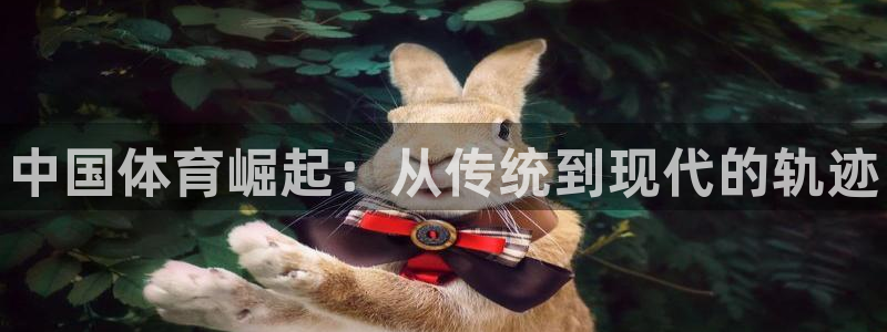 米兰体育官方下载入口