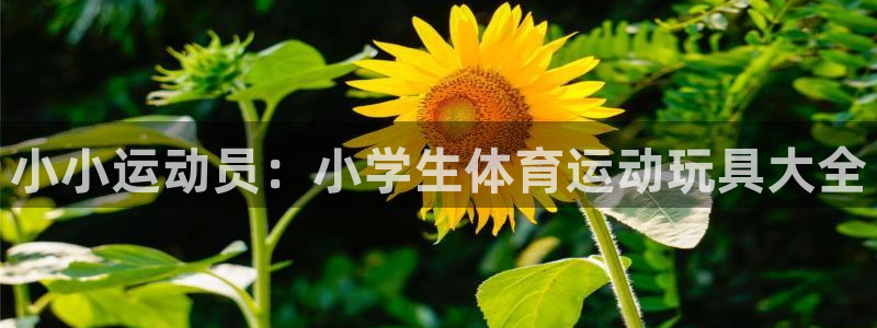 米兰体育最新版下载