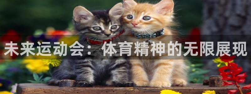 米兰体育官网