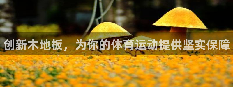 米兰体育网站