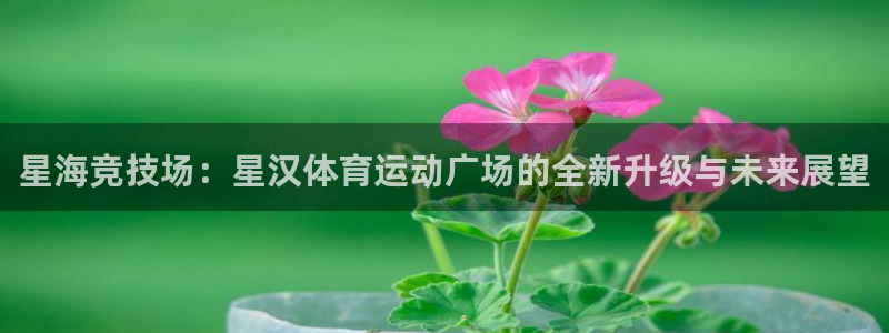 米兰体育登录