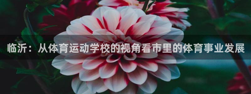 米兰体育综合官网