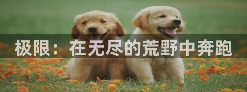 米兰体育