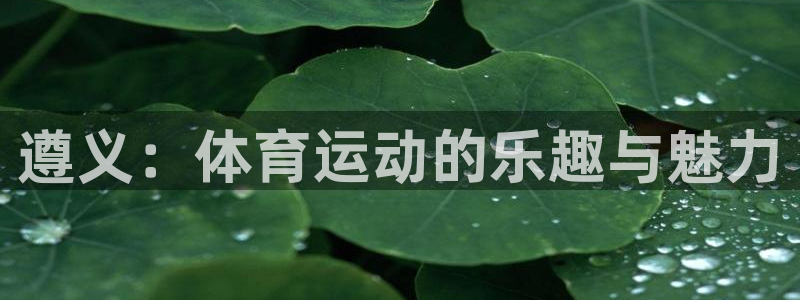 米兰体育