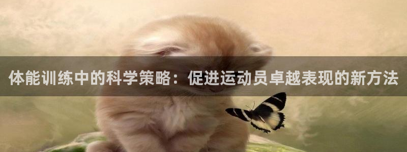 米兰体育最新版下载